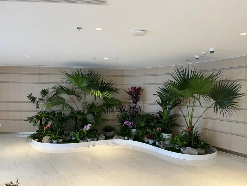 余姚盆景出租，给空间注入生机与活力